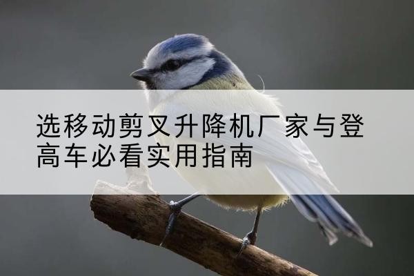 仁寿电动升降机厂家-选移动剪叉升降机厂家与登高车必看实用指南