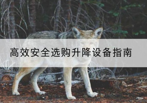 仁寿升降货梯厂家推荐-*安全选购升降设备指南