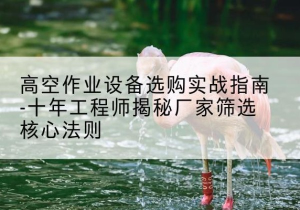 仁寿剪叉式升降机厂家-高空作业设备选购实战指南-十年工程师揭秘厂家筛选核心法则